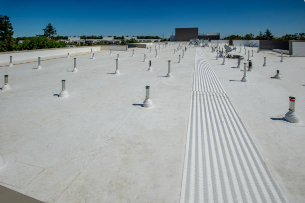 Best Cold Roofs  in Elmont, NY